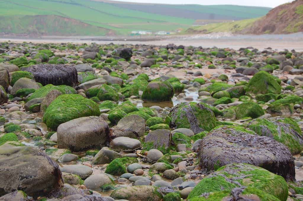St Bees Beach
