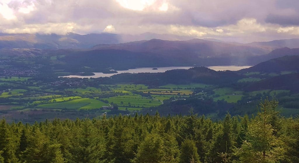 Whinlatter Forest